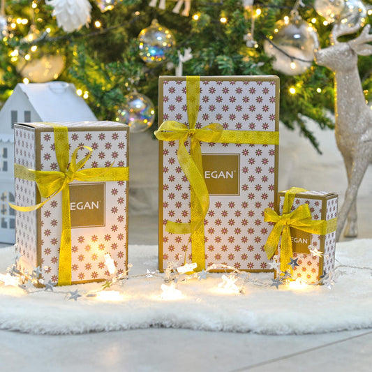 Presepe Natale 10X19