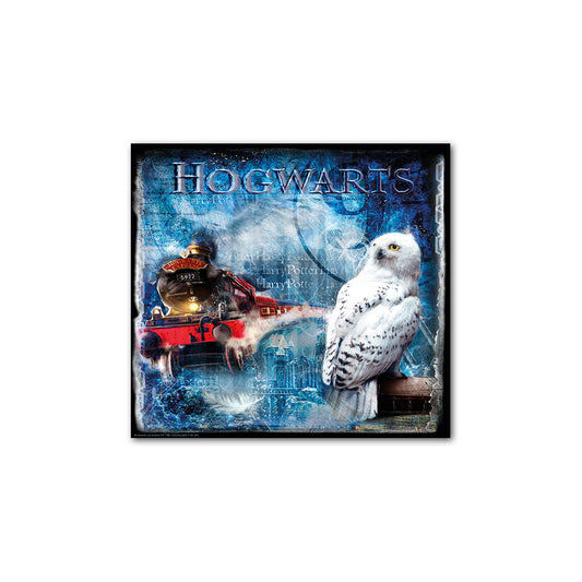 Quadro Harry Potter Edvige Cm 50x50