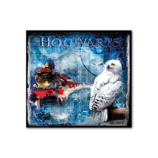 Quadro Harry Potter Edvige Cm 70x70