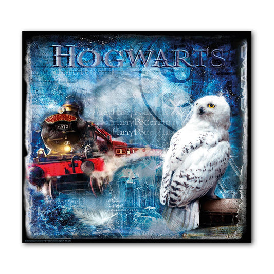 Quadro Harry Potter Edvige Cm 100x100