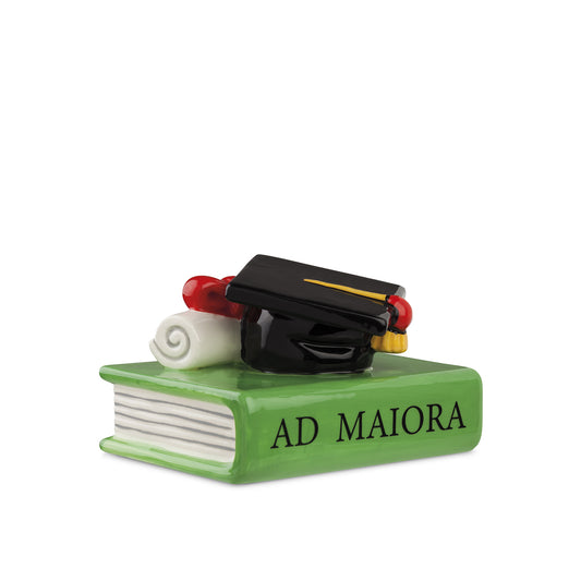 Libro Con Tocco e Pergamena 8X6
